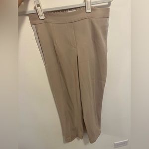 Aritzia Babaton Trousers